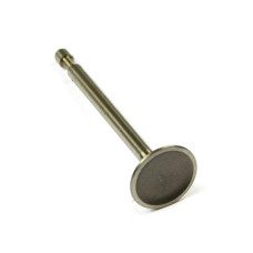 B&S Einlassventil 590393
