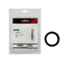 B&S Wellendichtring 291675S