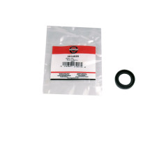 B&S Wellendichtring 391483S
