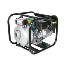 Petrol engine high pressure pump LGP 20-2H