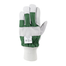 ratioparts Forrest glove XL