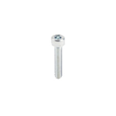 Csavar M5 x 25,0 mm