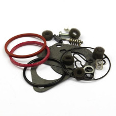 B&S Vergaserventilüberholkit 796184