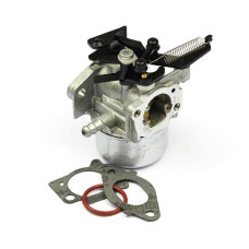 B&S Vergaser 796608