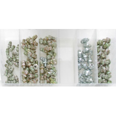 Assortment grease nipple inch 100-pieces