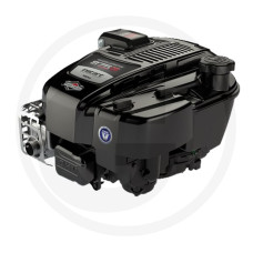 Briggs & Stratton Motor