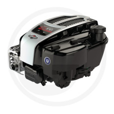 Briggs & Stratton Motor