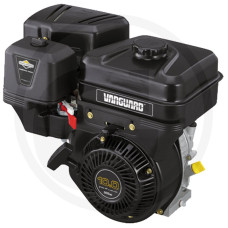 Briggs & Stratton Motor