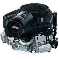 Briggs & Stratton Motor