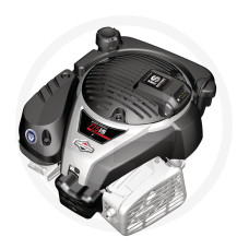Briggs & Stratton Motor Serie 775iS DOV vert. 22,2/80mm 775EX iS Series DOV (InStart)