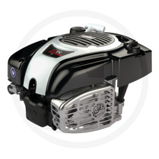 Briggs & Stratton Motor 750EX Series DOV