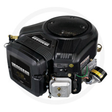 Briggs & Stratton Motor
