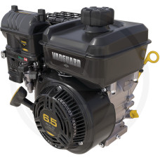 Briggs & Stratton Motor
