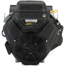 Briggs & Stratton Motor