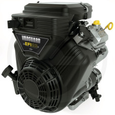 Briggs & Stratton Motor
