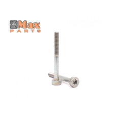 CSAVAR IS-M5X48X22-10.9